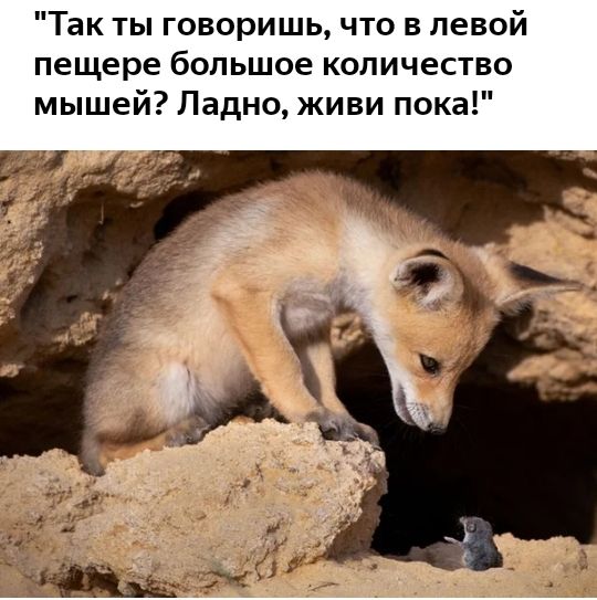Так ты говоришь что в левой пещере большое количество мышей Ладно живи пока