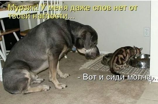 слов нет д слов г. Сл