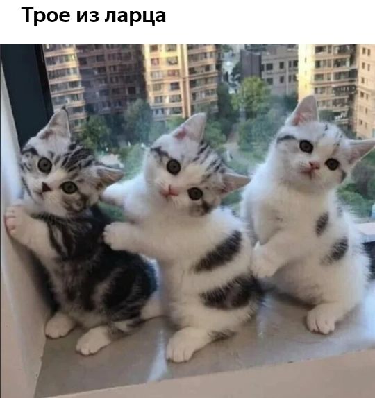 а Ц р 3 П 3 И 8 0 О Т