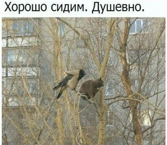 Душевно м И д и с 0 Ш 0 О 0 Х