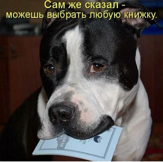 Сам же сТазап можешь выбрать любую кнуъжку