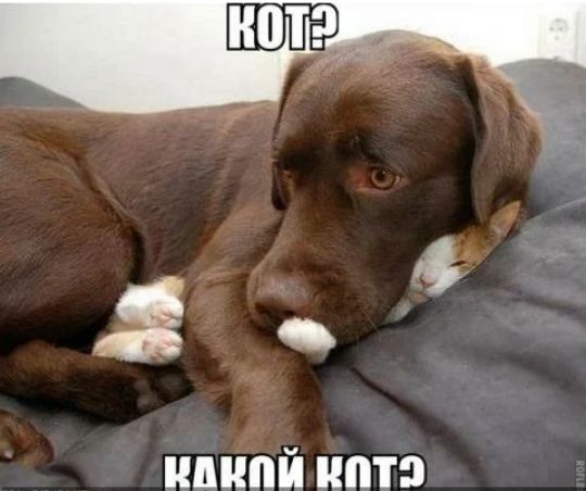 5 е _ иципй иптэ