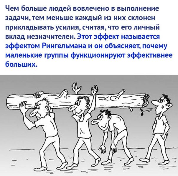 Чем больше людей вовлечено 5 выполнение задачитем меньше каждый из них склонен прикладывать усилия считая что его личный вклад незначителен Этот эффект называется эффектом Рингельмана и он объясняет почему маленькие группы функционируют эффективнее больших