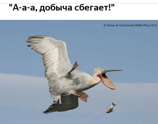 э а в ты мым м