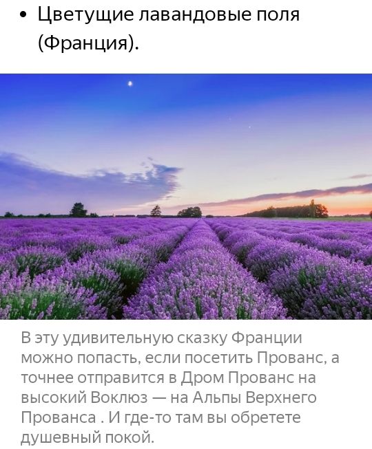Цветущие павандовые поля Франция В эту удивительную сказку Франции можно попасть если посетить Прованса точнее отправится в Дром Прованс на высокий Вокпюа на Альпы Верхнего Прованса И где то там вы обретете душевный покой