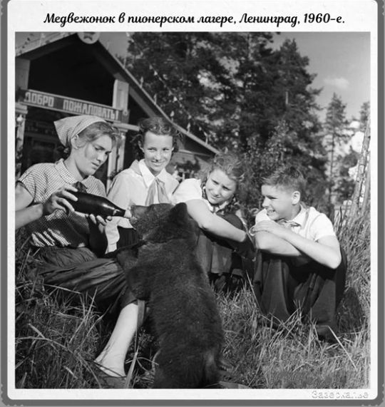 впимшращм лидере Ленин 1960е