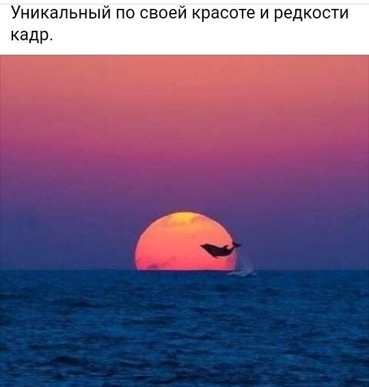 Уникальный по своей красоте и редкости кадр