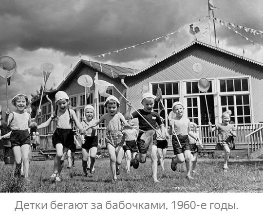 960 е годы Детки бегают за бабочками Т