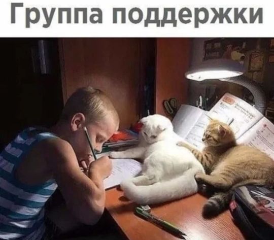 Группа поддержки