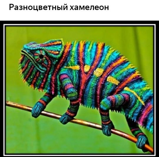 Разноцветный хамелеон