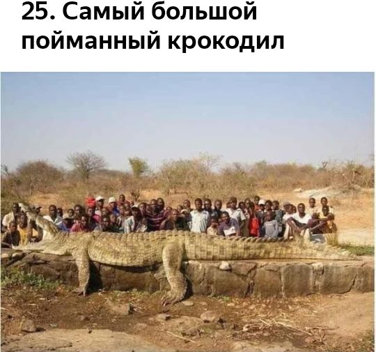 25 Самый большой пойманный крокодил Г _