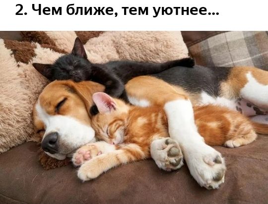 2 Чем ближе тем уютнее