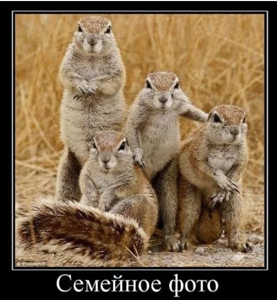 Семейное фото