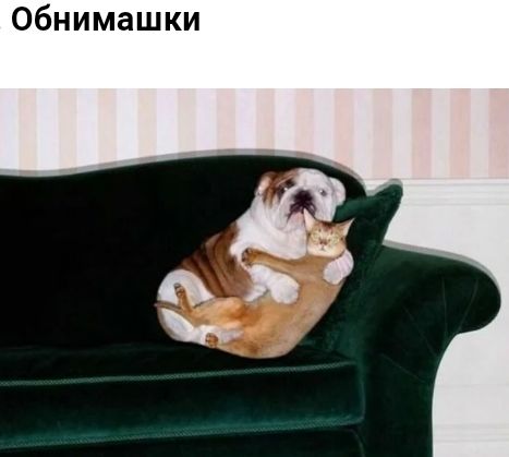 Обнимашки