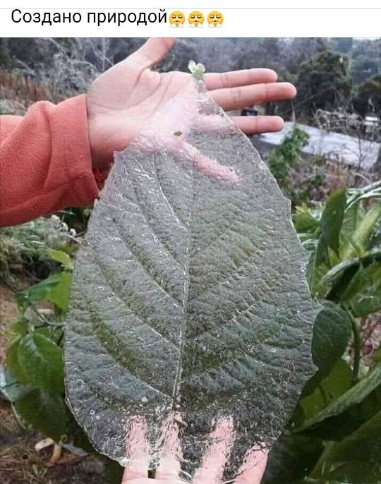Создано природо! З