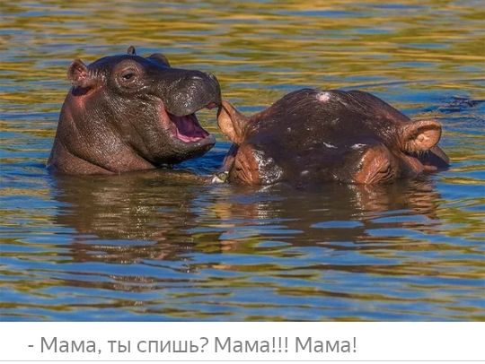 Мана ты спишь Мама
