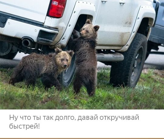 Ну что ты так долго давай откручпвай стрейЗ