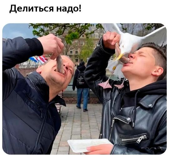 Делиться надо