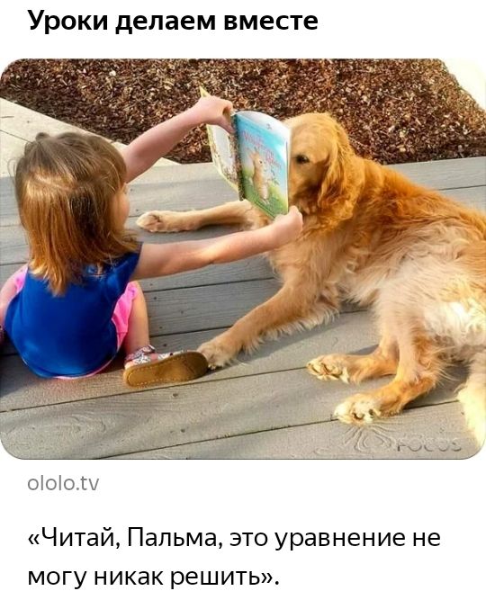 Уроки делаем вместе оіоіоы Читай Пальма это уравнение не могу никак решить