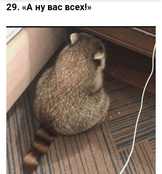 29 А ну вас всех