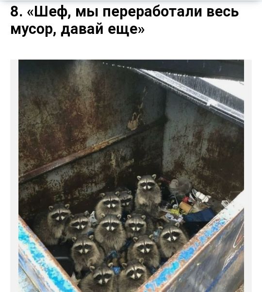 8 Шеф мы переработали весь мусор давай еще