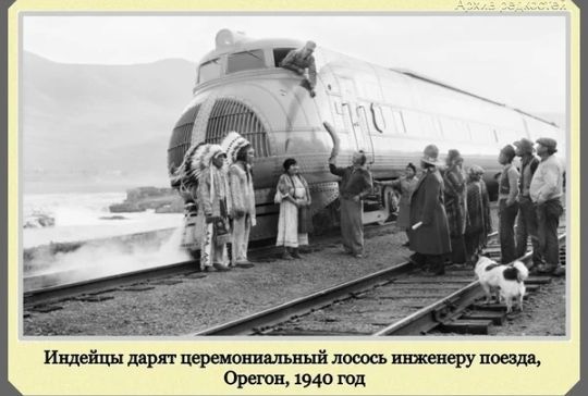 Ивдейшядярпшвршовишвыйтшсьпшерупоездь Оржица пд