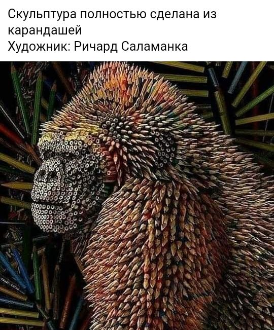 Скульптура полностью сделана из карандашей Художник Ричард Саламанка