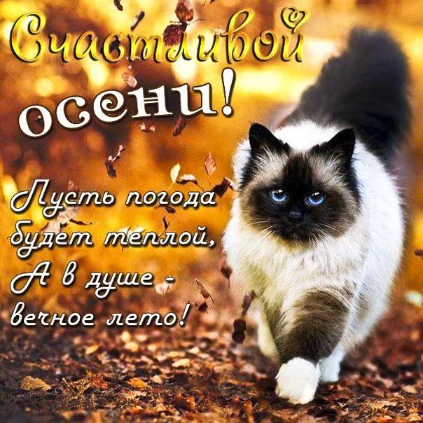 дет тёплой 74 8 дание вечное лето 00