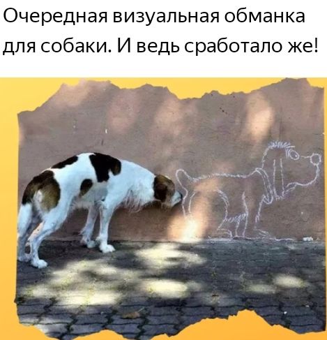Очередная визуальная обманка для собаки И ведь сработало же
