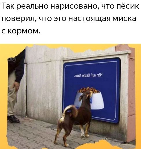 ТЭК реально нарисовано ЧТО ПёСИК поверил ЧТО ЭТО настоящая миска С КОРМОМ