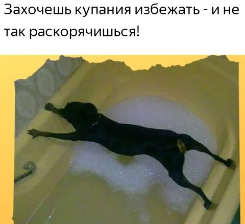 Захочешь купания избежать И не так раскорячишься