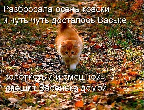 15 Ё Разбросапа о ЁЁ ски идутъдчутьд СЁЛЁЬЁВЭСЁКЗ