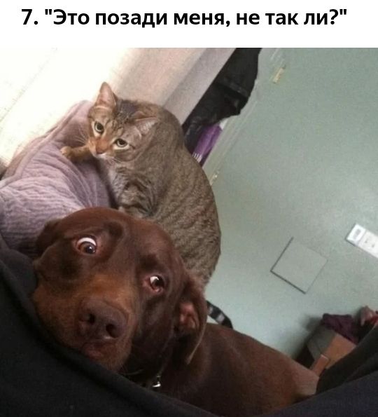 7 Это позади меня не так ли