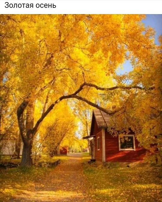 Золотая осень