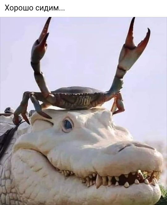 Хорошо сидим