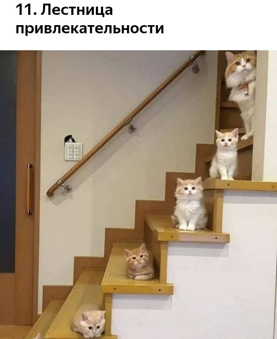11 Лестница привлекательности