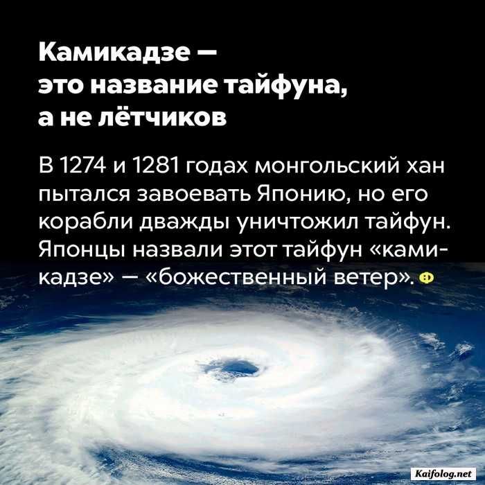 Камикадзе это название тайфуна а не лётчиков В 1274 и 1281 годах монгольский хан пытался завоевать Японию но его корабли дважды уничтожил тайфун Японцы назвали этот тайфун ками кадзе божественный ветер 0