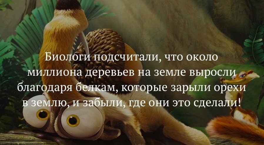 пыеза лиор И ЭТО сдела