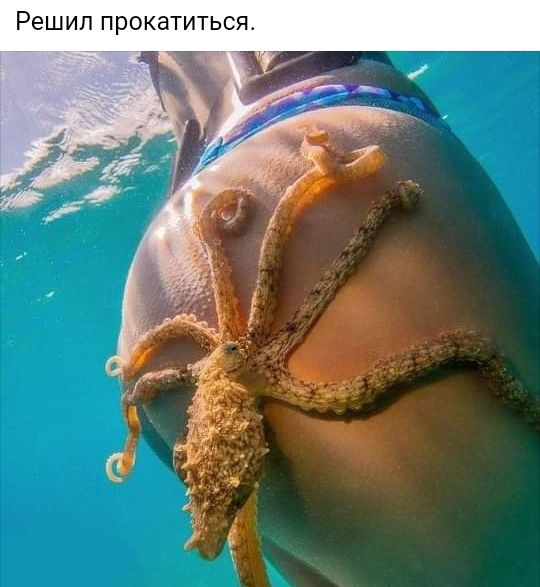 Решил ПРОКЗТИТЬСЯ