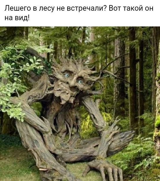 Пешего в лесу не встречали Вот такой он