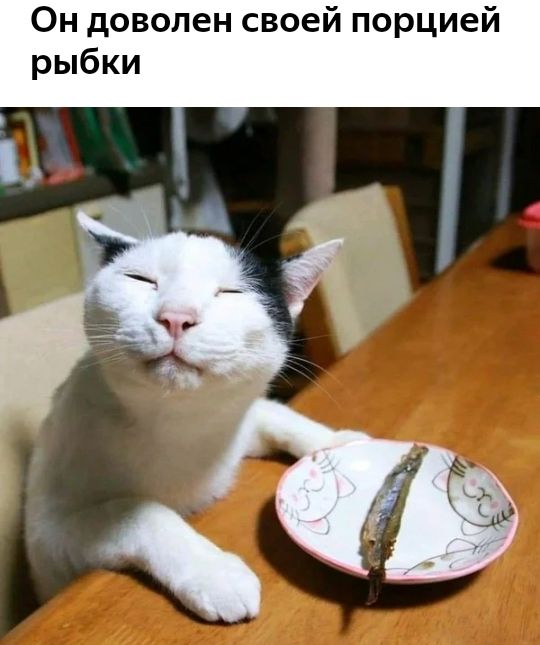 Он доволен своей порцией рыбки