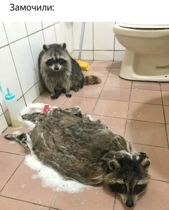 Замочили
