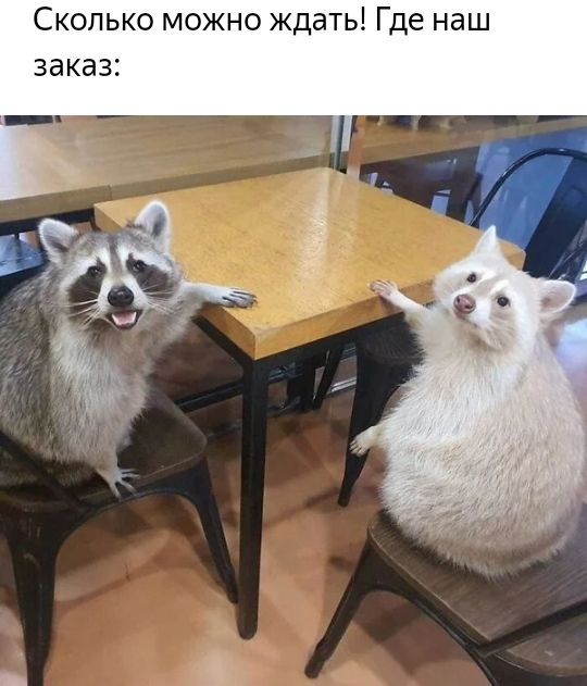 Сколько можно ждать Где наш заказ