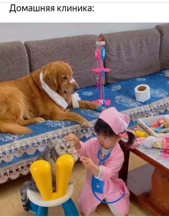 а К И Н И п К Я Я Н Ш 6 М 0 д