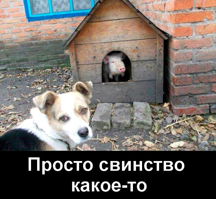 ка кое то