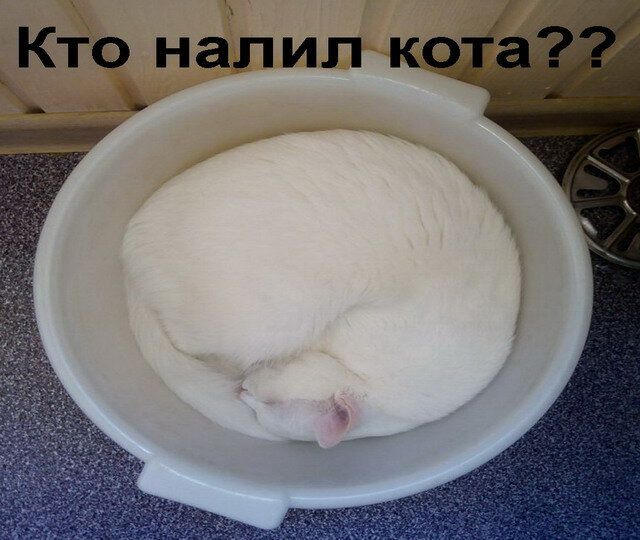 КТО налил код ь