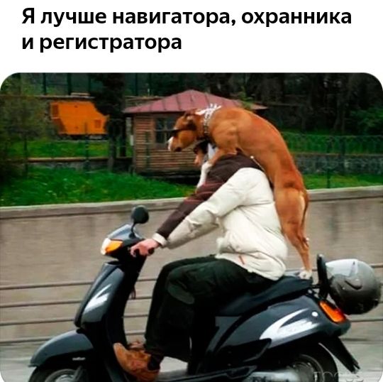 Я лучше навигатора охранника и регистратора