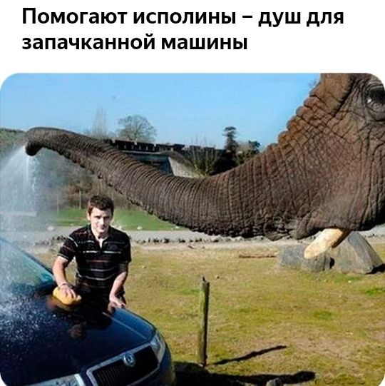 Помогают ИСПОПИНЫ _ дУШ дЛЯ запачканной МЗШИНЫ