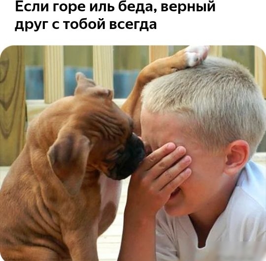 Если горе иль веда верный друг с тобой всегда
