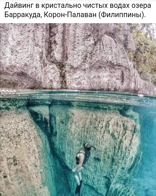 Дайвинг в кристально чистых водах озера Барракуда Корон Палаван Филиппины 7 5